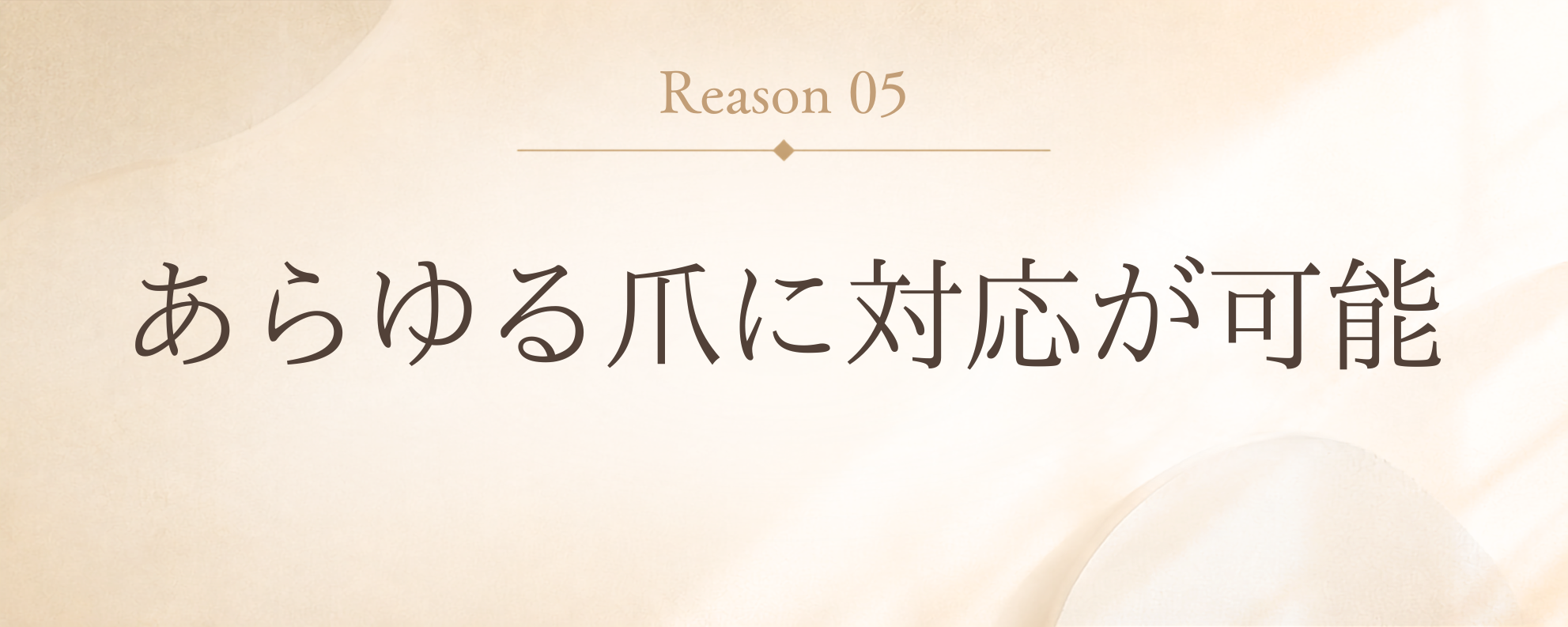 理由5: あらゆる爪に対応が可能