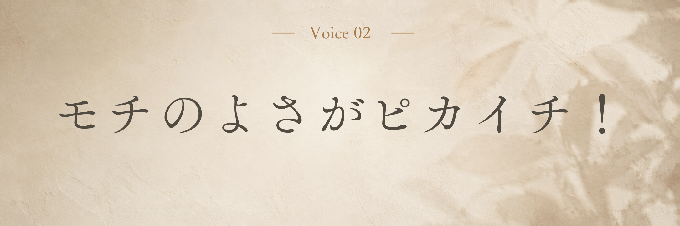 Voice 2